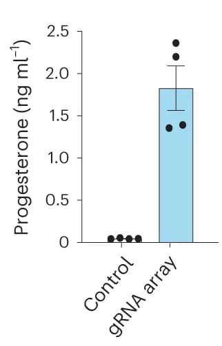 Open access visualization of Bar Plot, Error Bars, Scatter Plot, Progesterone Levels, Mini-DREAM-transduced HEK293T Cells