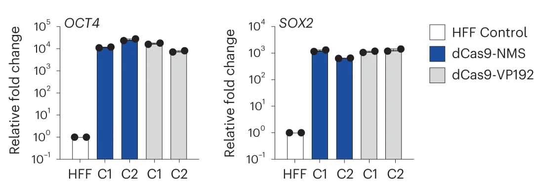 Open access visualization of Bar Plot, Gene Expression, OCT4, SOX2, iPSC Colonies