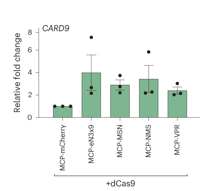 Open access visualization of Bar Plot, Error Bars, CARD9 Expression, T Cells, Lentiviral Transduction