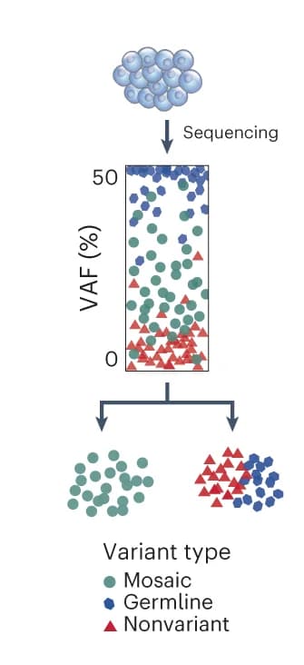 Open access visualization of Scatter Plot, Mosaic Variants, Germline Variants, VAF, Truth Sets