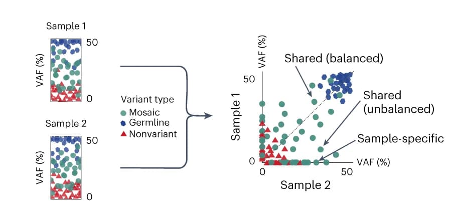 Open access visualization of Scatter Plot, Variants, Paired Sample