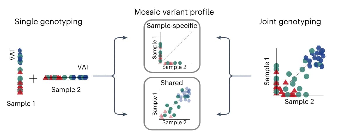 Open access visualization of Scatter Plot, Genotyping, Variants