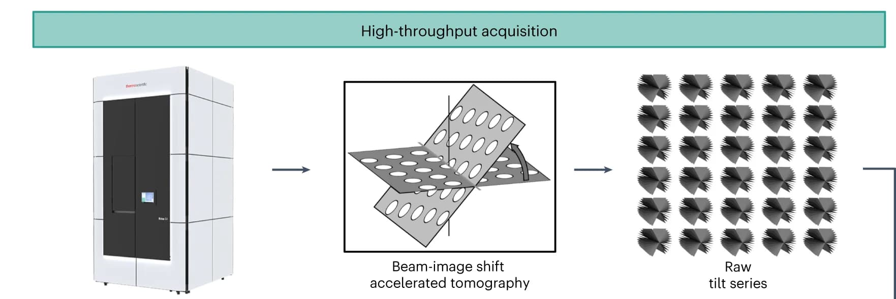 Open access visualization of Workflow, Illustration, Cryo-electron Tomography, Tilt Series, Data Collection
