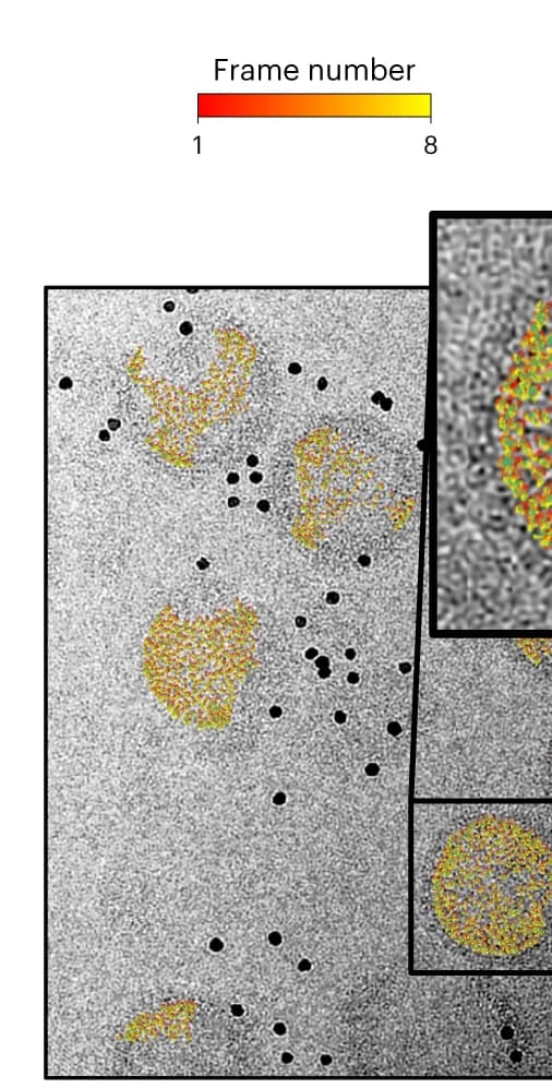 Open access visualization of Microscopy, HIV-1 Gag, Tilt Series, Movement Trajectories, Particles