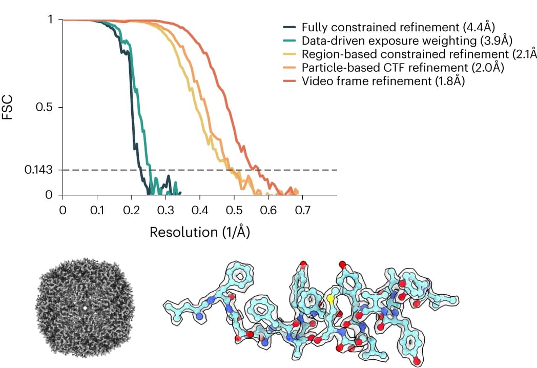 Open access visualization of Line Plot, Protein Structure, High-resolution structure, Apoferritin, Cryo-EM
