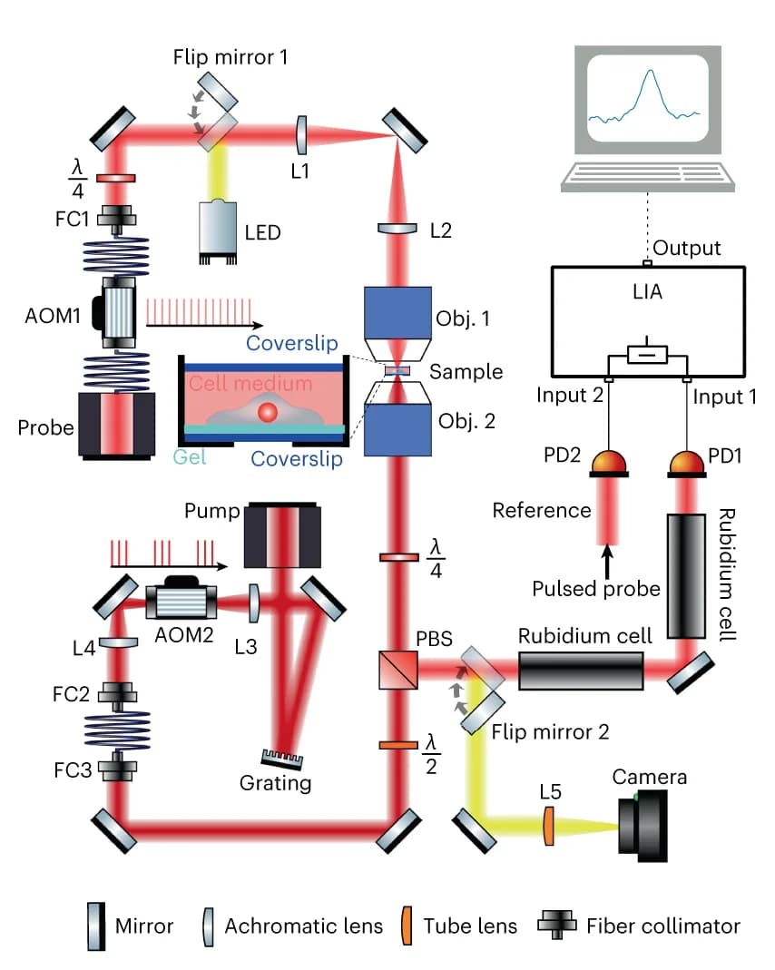 Open access visualization of Workflow, Illustration, SBS Setup, Pump Beam, Probe Beam