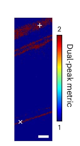 Open access visualization of Heatmap, Multi-Peak Metric Map