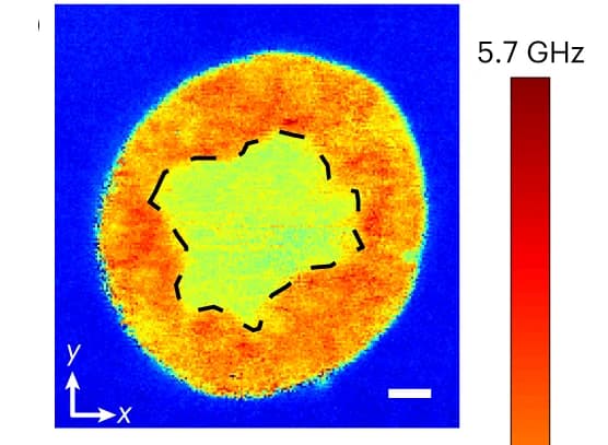 Open access visualization of Heatmap, Brillouin Shift Image, Organoid, Lumen