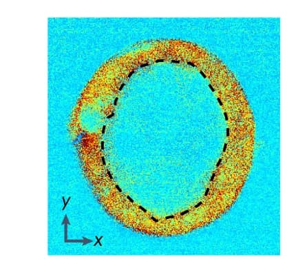 Open access visualization of Heatmap, Brillouin Linewidth Image, Organoid, Lumen