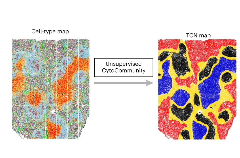 Open access visualization of Geo Map, Unsupervised Learning, CytoCommunity, TCN Identification, Tissue Sample
