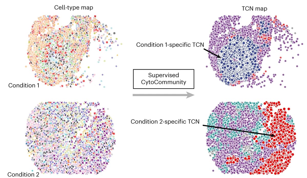 Open access visualization of Scatter Plot, UMAP, PCA, Supervised Learning, Tissue Samples