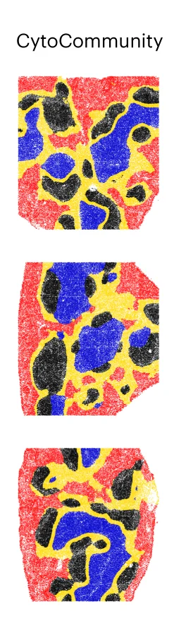 Open access visualization of Microscopy, TCNs, CytoCommunity