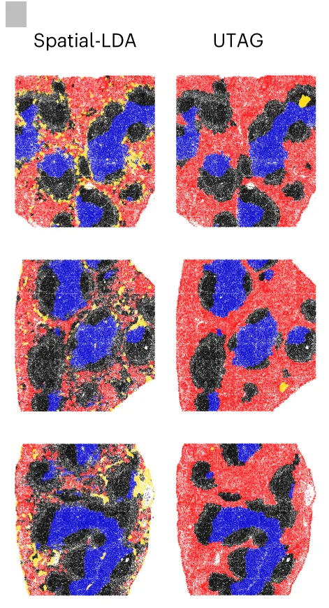 Open access visualization of Scatter Plot, UMAP, PCA, TCNs, Spatial-LDA