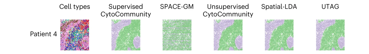 Open access visualization of Scatter Plot, UMAP, PCA, Single-Cell Images, Compartmentalized Tumors