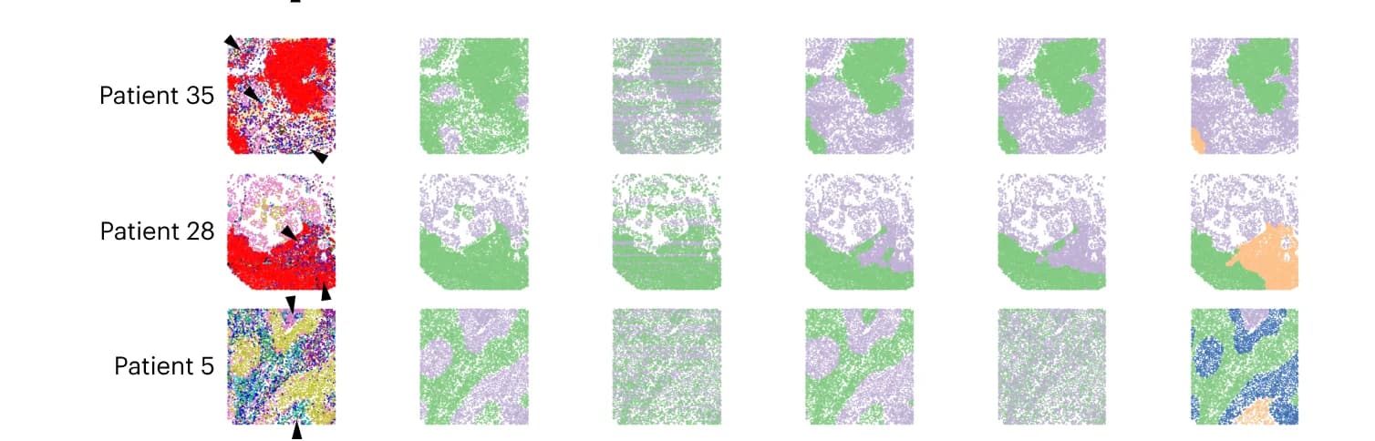 Open access visualization of Scatter Plot, UMAP, PCA, Tissue Images, CytoCommunity