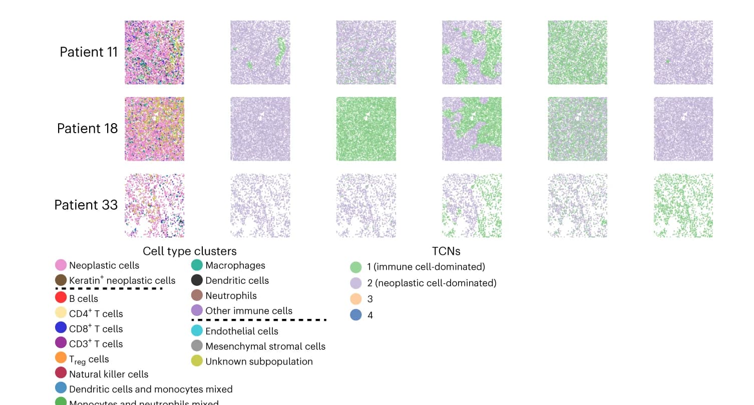 Open access visualization of Scatter Plot, UMAP, Single-Cell Images, Mixed Tumors, Triple-Negative Breast Cancer