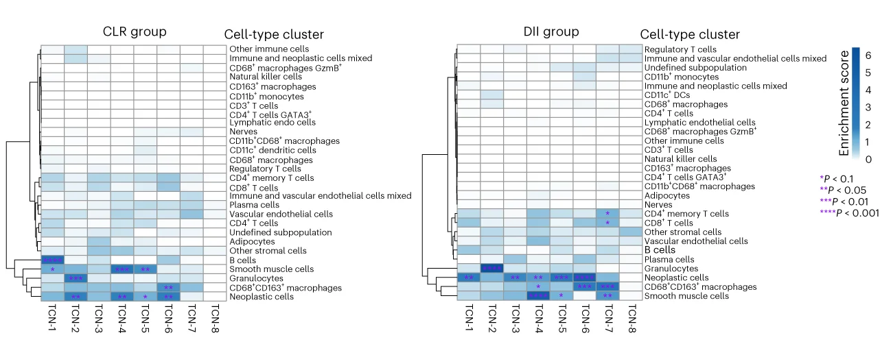 Open access visualization of Heatmap, Clustered, Heatmaps, Enrichment Scores, Cell Type