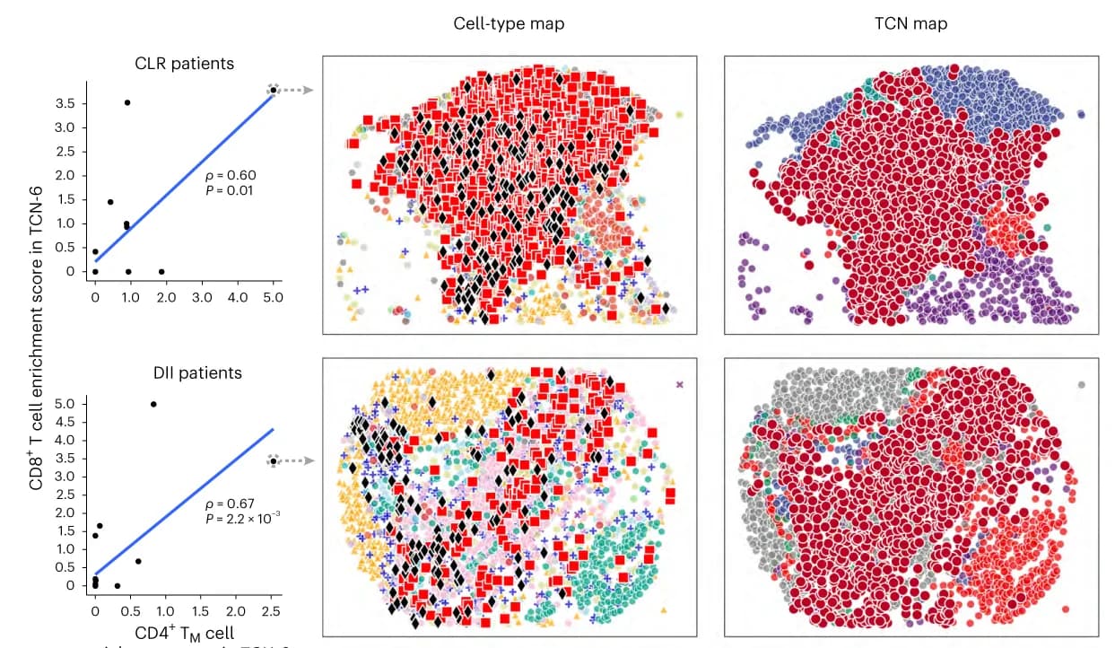 Open access visualization of Scatter Plot, UMAP, Correlation, Enrichment Scores, Cell Types