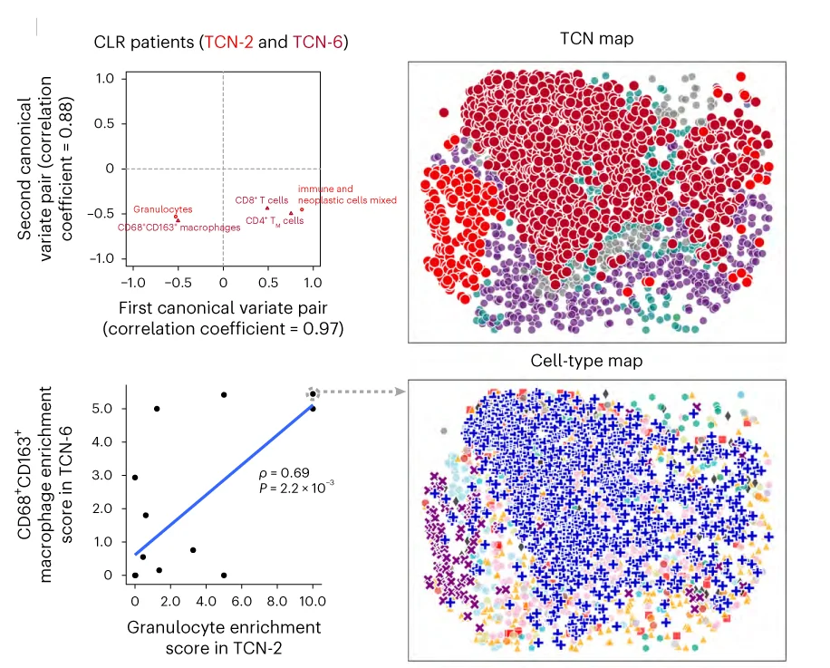 Open access visualization of Scatter Plot, UMAP, Regression Plot, Canonical Correlation, Permutation Test