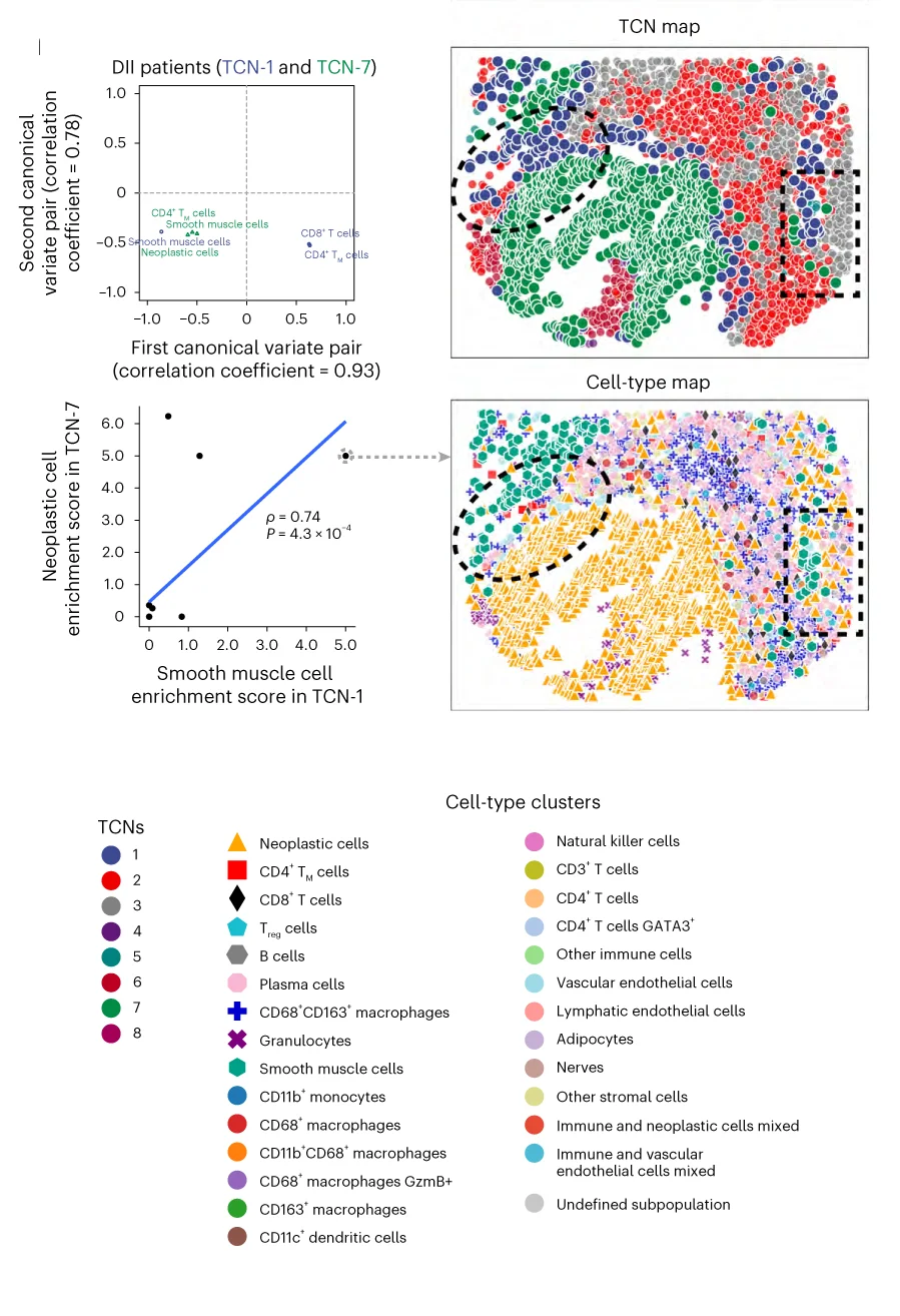 Open access visualization of Scatter Plot, Regression Plot, UMAP, Canonical Correlation, Permutation Test