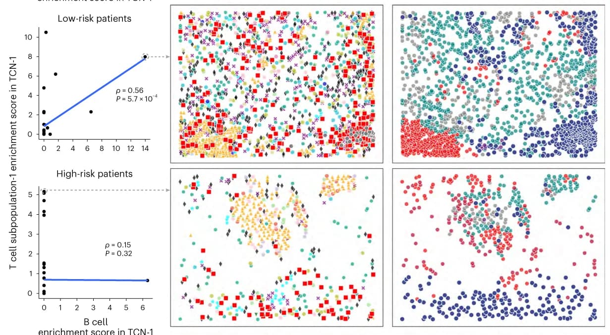 Open access visualization of Scatter Plot, UMAP, Correlation, Enrichment Scores, Cell Types