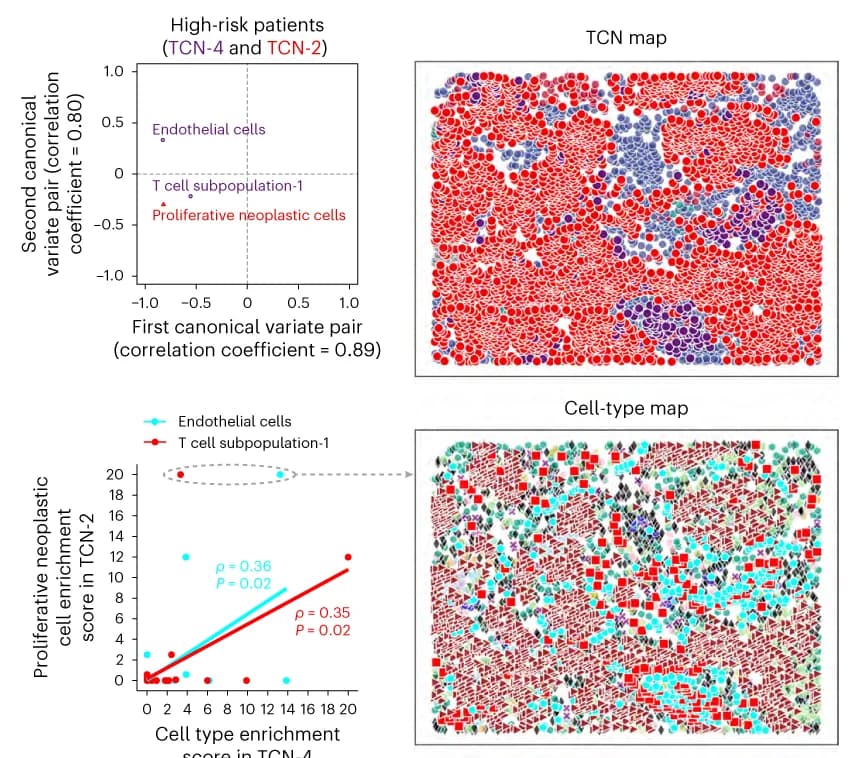 Open access visualization of Scatter Plot, Regression Plot, UMAP, Canonical Correlation, Permutation Test