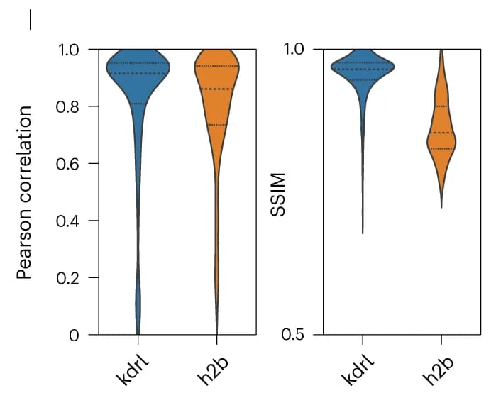 Open access visualization of Violin Plot, Pearson Correlation, SSIM, Z Stacks, Vascular Marker