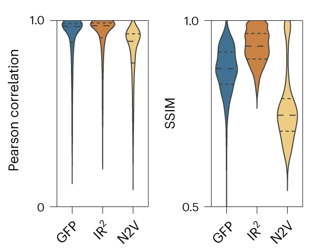 Open access visualization of Violin Plot, Pearson Correlation, SSIM, Patches, GFP