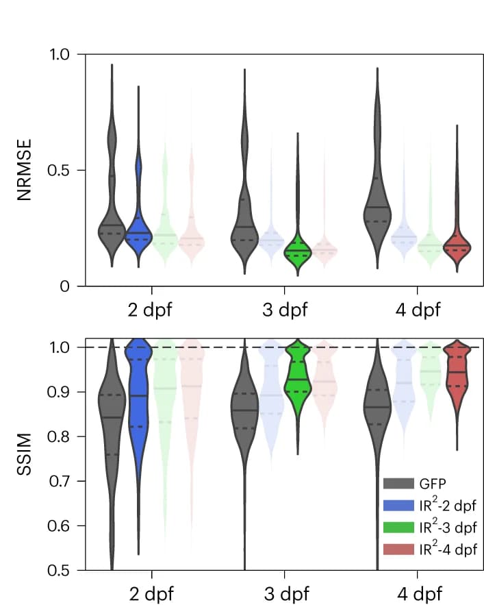 Open access visualization of Violin Plot, Image Quality, GFP Image, IR Reconstruction, Violin Plots