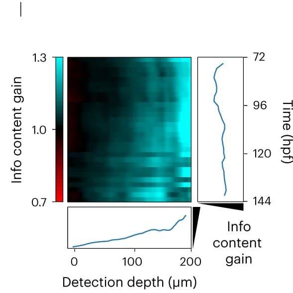 Open access visualization of Heatmap, Line Plot, Kymograph, Information Content Gain, GFP Images
