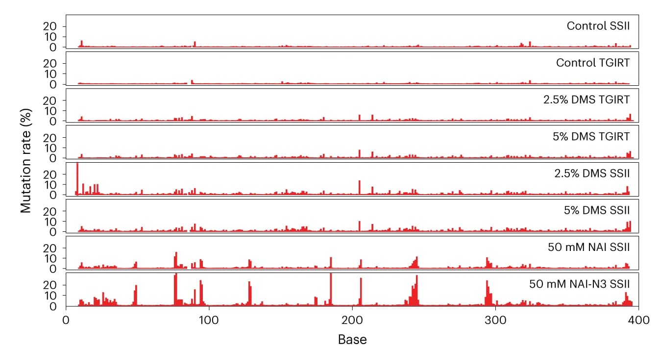 Open access visualization of Bar Plot, Mutation Rates, Tetrahymena Ribozyme, RT Enzymes, RNA Modification Compounds
