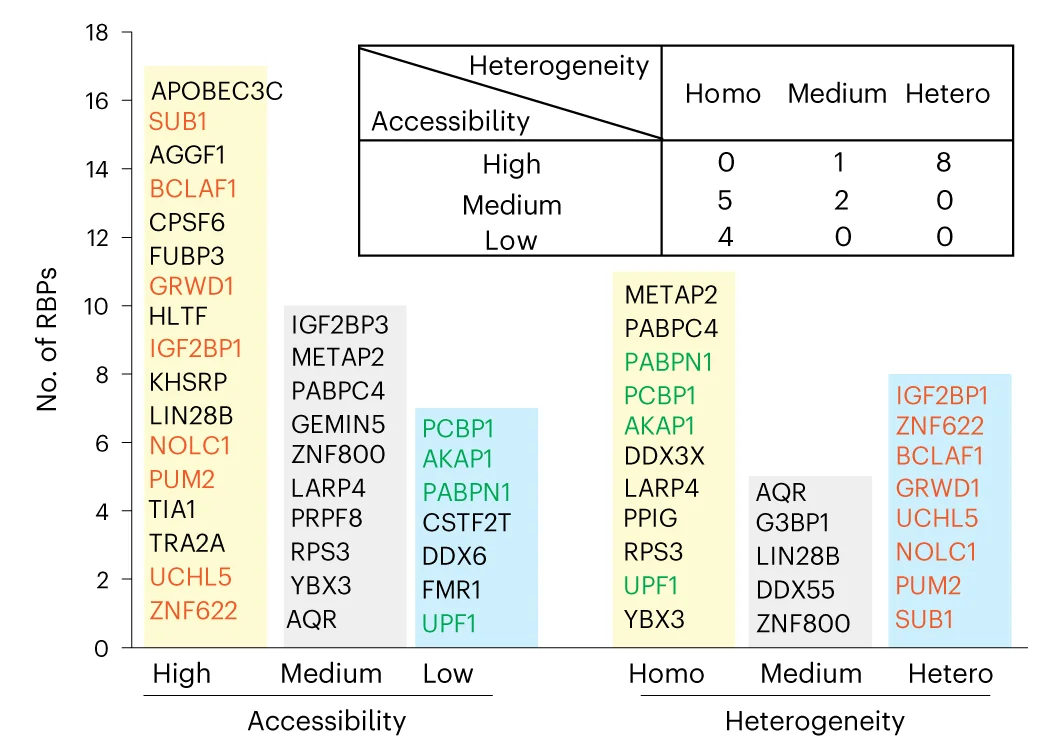 Open access visualization of Bar Plot, Table Image, RBPs, Accessible Regions, Heterogeneous Regions