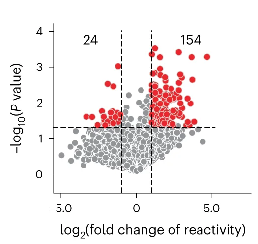 Open access visualization of Scatter Plot, Volcano Plot, Structure Reactivities, PUM2, PUM2-Binding Regions