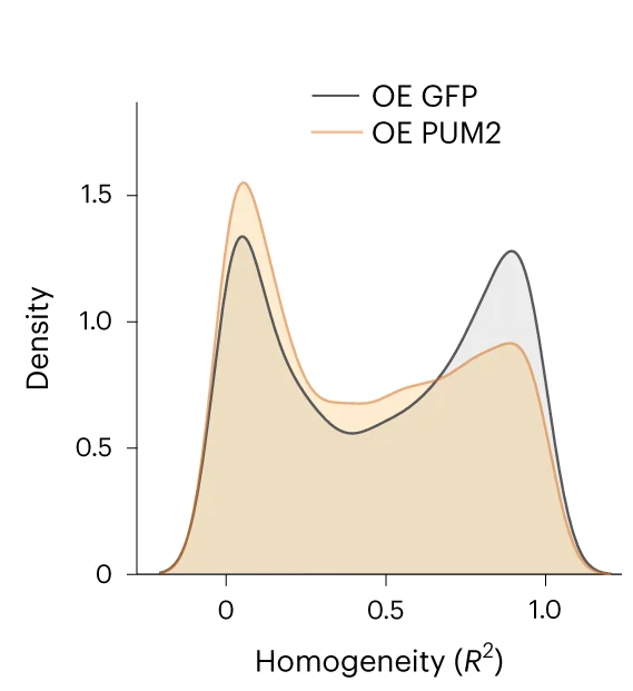 Open access visualization of Density Plot, Density Plots, PUM2-Binding Motif, Heterogeneity, GFP Overexpression