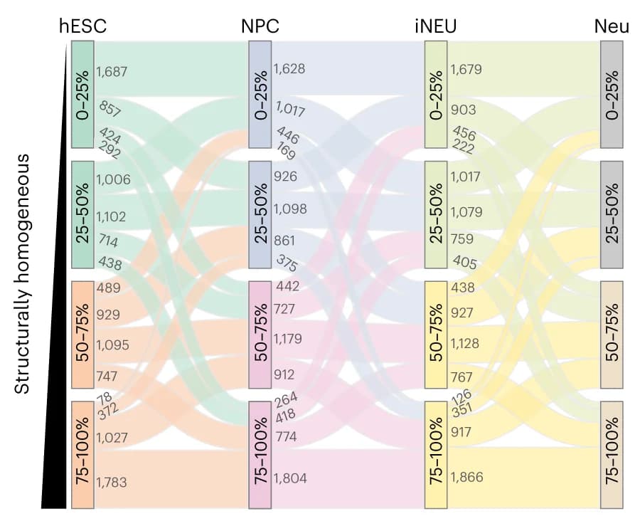 Open access visualization of Sankey, Sankey Plots, Window-Level Heterogeneity, Neuronal Differentiation