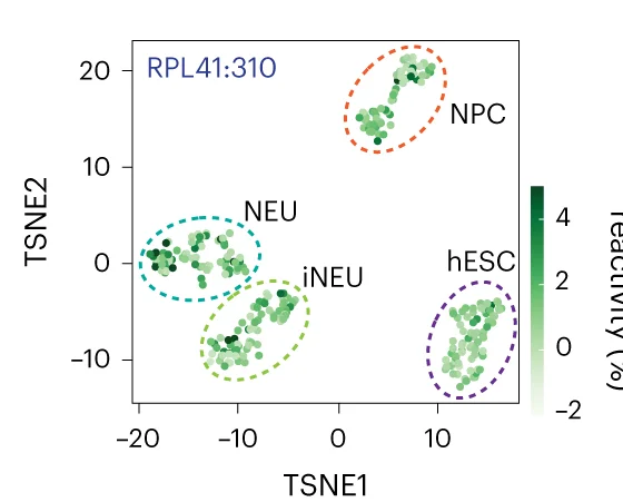 Open access visualization of Scatter Plot, UMAP, Bubble Plot, TSNE Plot, Reactivity
