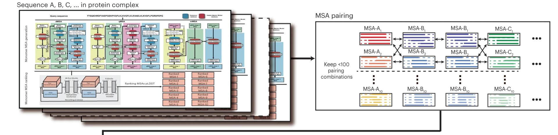 Open access visualization of Workflow, Flowchart, Illustration, DeepMSA2-Multimer, MSA Generation