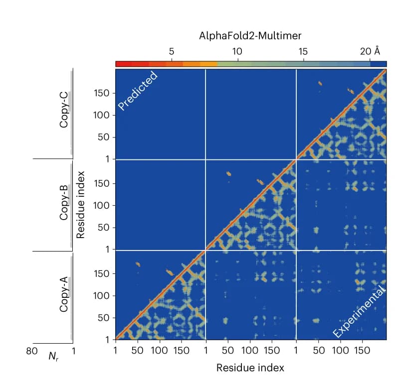 Open access visualization of Heatmap, Residue-Residue Distance Map, Heat Map, Aligned Residues, AlphaFold2-Multimer