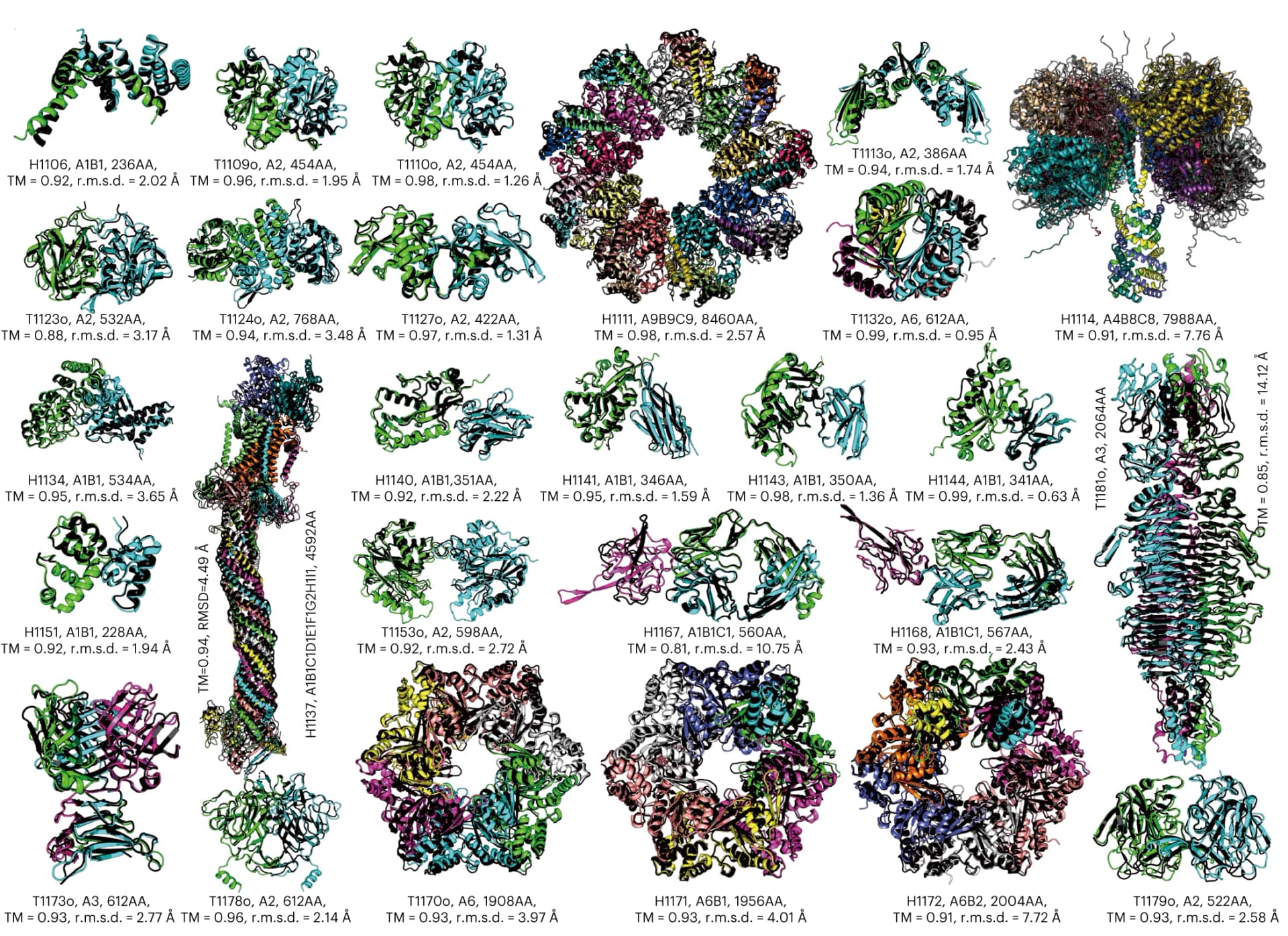 Open access visualization of Protein Structure, Chemical Structure, DMFold-Multimer, Experimental Structures, Complex Targets
