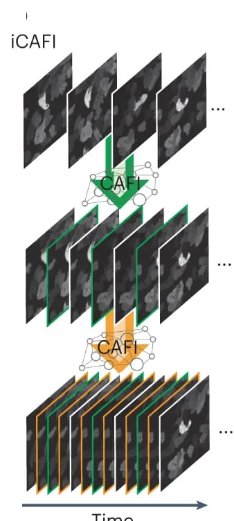 Open access visualization of Workflow, Illustration, iCAFI, Temporal Resolution, Network Prediction