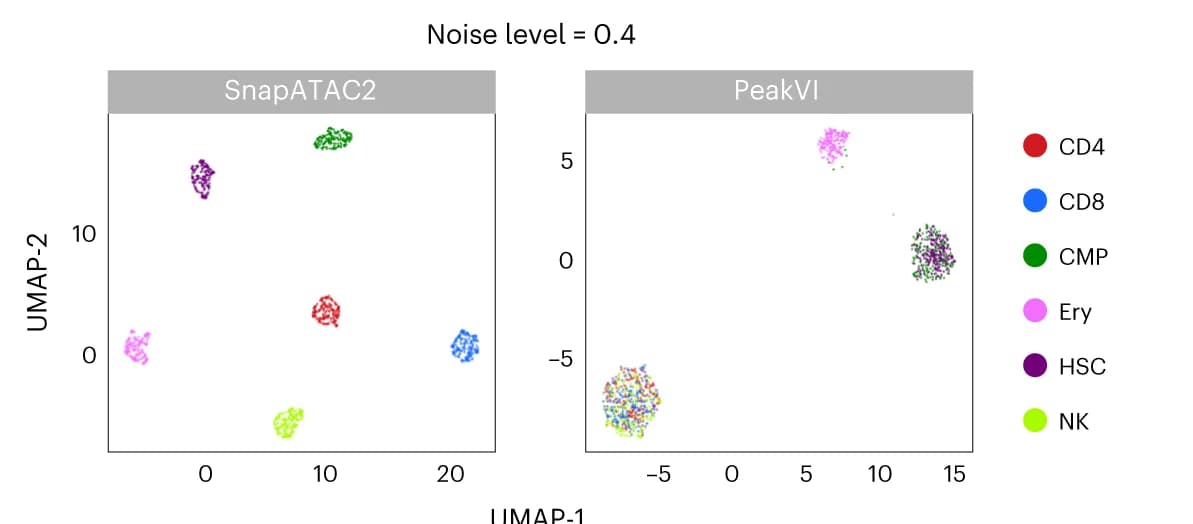 Open access visualization of Scatter Plot, UMAP, UMAP Visualization, Embeddings, SnapATAC2
