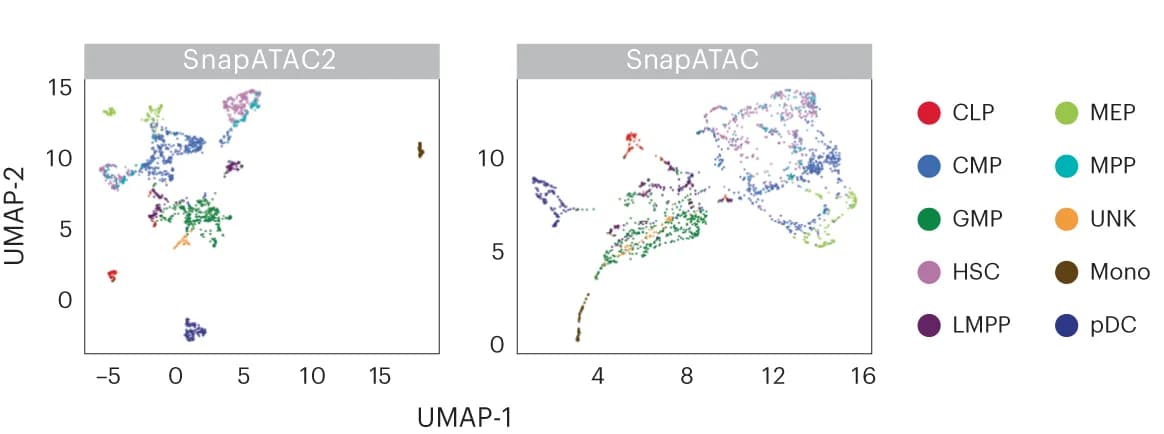 Open access visualization of Scatter Plot, UMAP, Embeddings, SnapATAC2, SnapATAC
