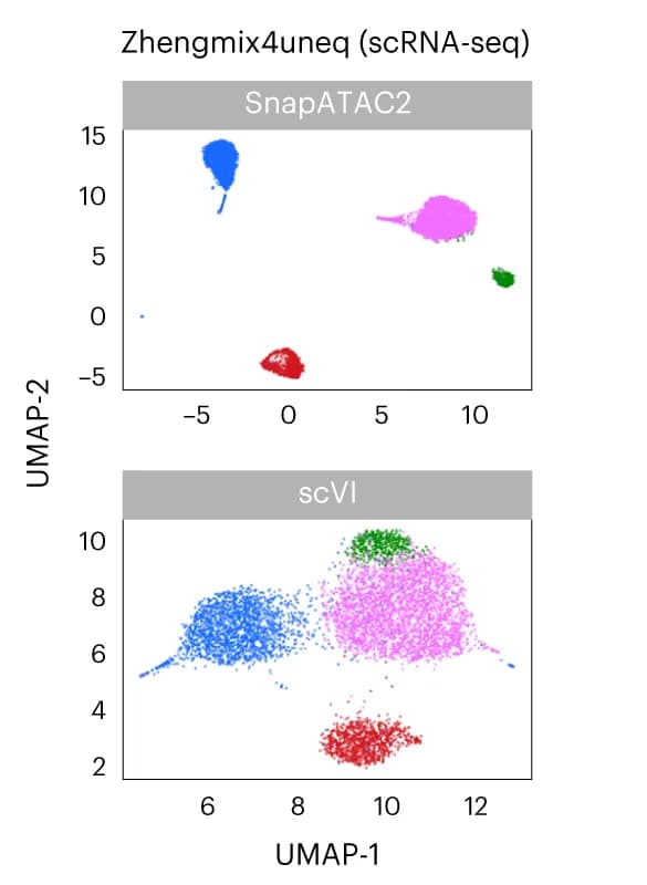 Open access visualization of Scatter Plot, UMAP, Embeddings, SnapATAC2, scVI