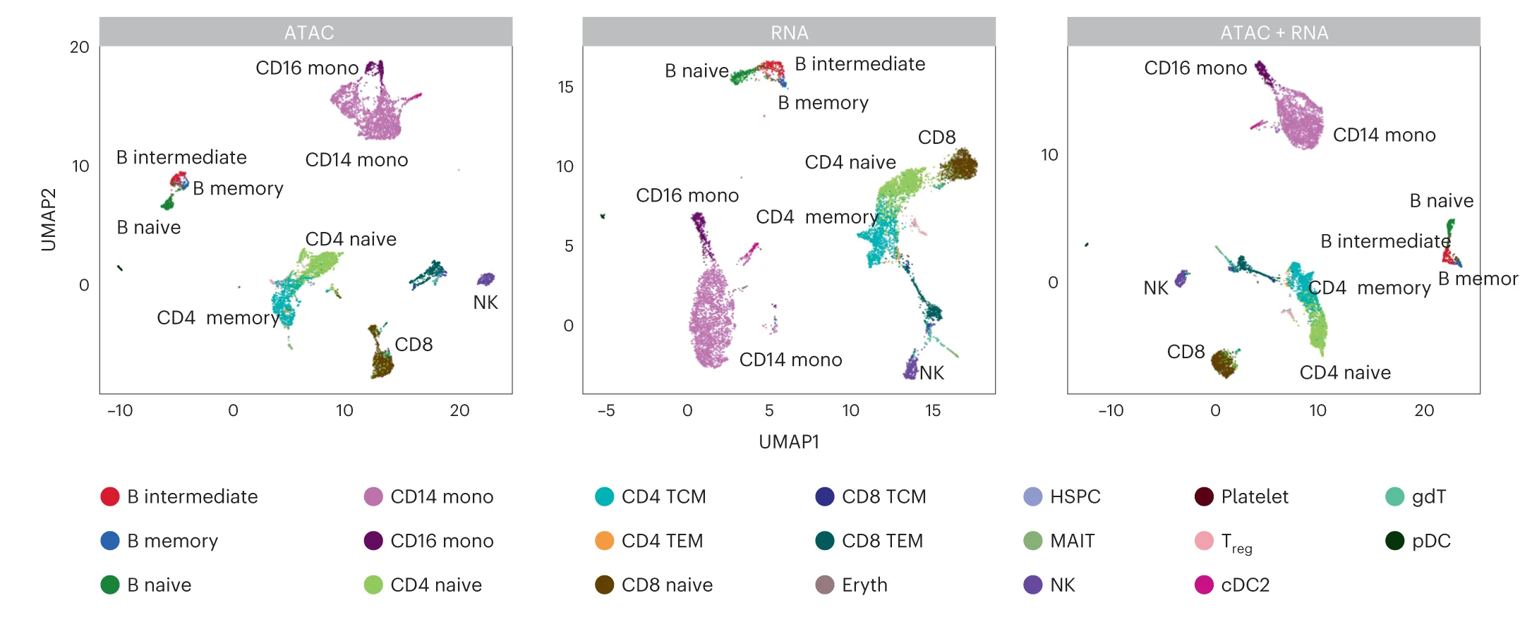 Open access visualization of Scatter Plot, UMAP, Embeddings, SnapATAC2, ATAC Modality
