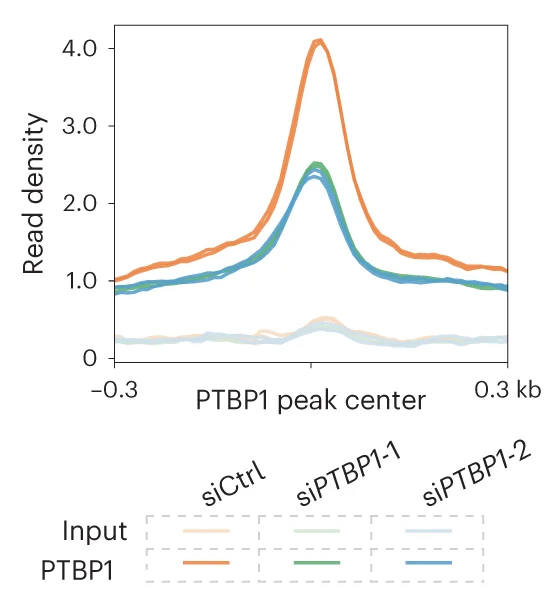 Open access visualization of Line Plot, Density Plot, ARTR-seq, Read Density, PTBP1