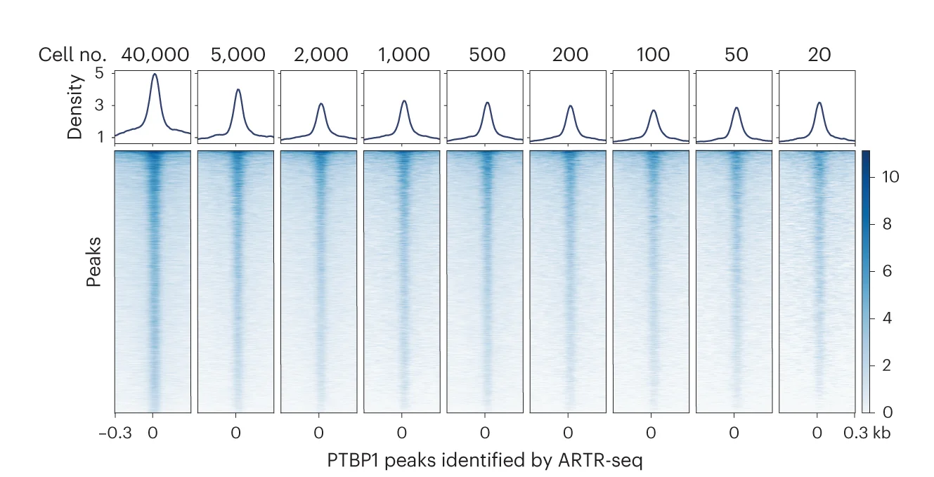 Open access visualization of Heatmap, Density Plot, Signal Profiles, Heatmaps, Read Density