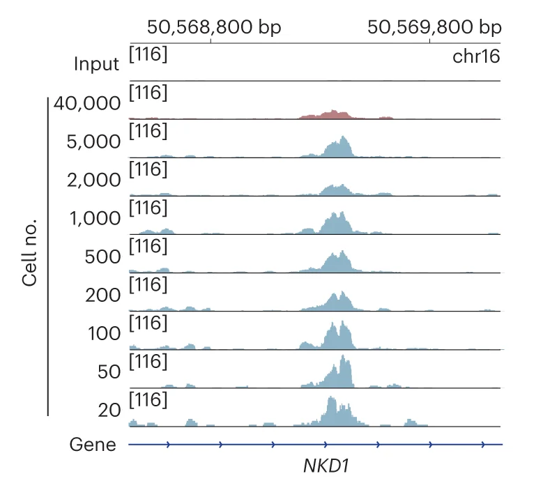 Open access visualization of Line Plot, Density Plot, Ridge Plot, IGV, ARTR-seq
