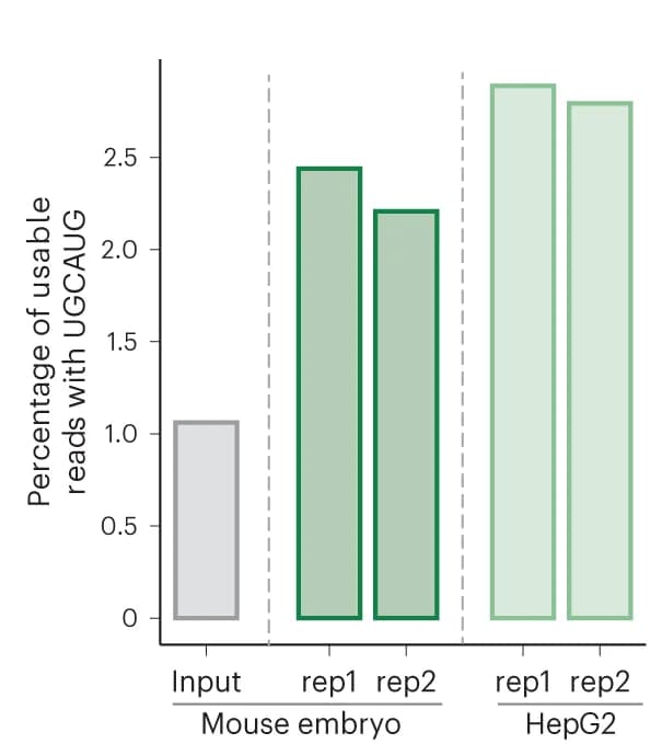 Open access visualization of Bar Plot, Clustered, Usable Reads, RBFOX2, UGCAUG Motif