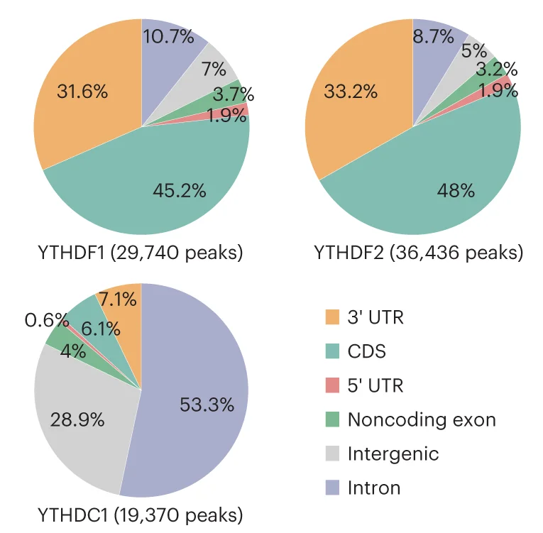 Open access visualization of Pie Chart, Peaks Distribution, 3' UTR, CDS, 5' UTR