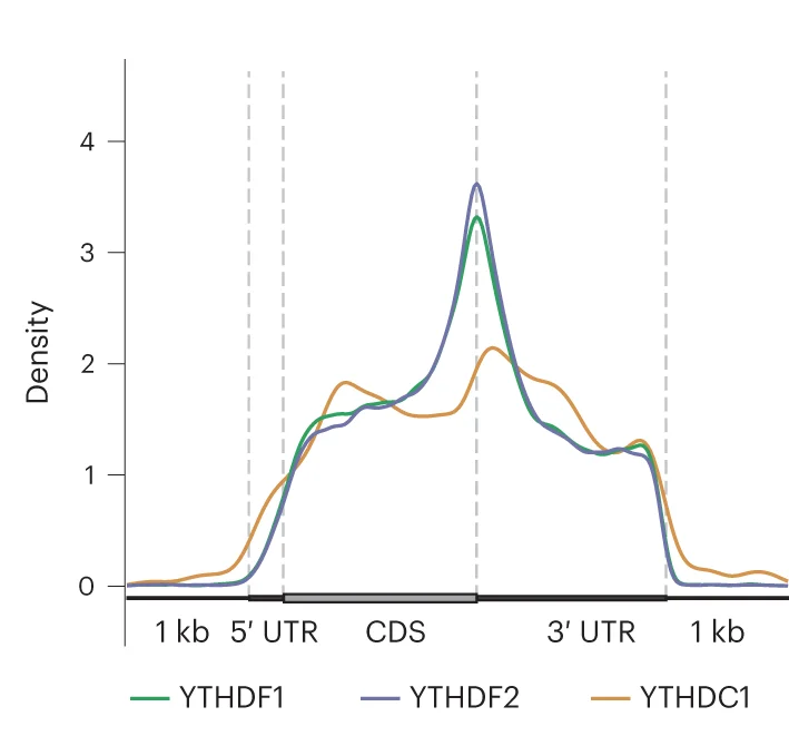 Open access visualization of Line Plot, Density Plot, Aggregation Profiles, Meta Distributions, Binding Peaks